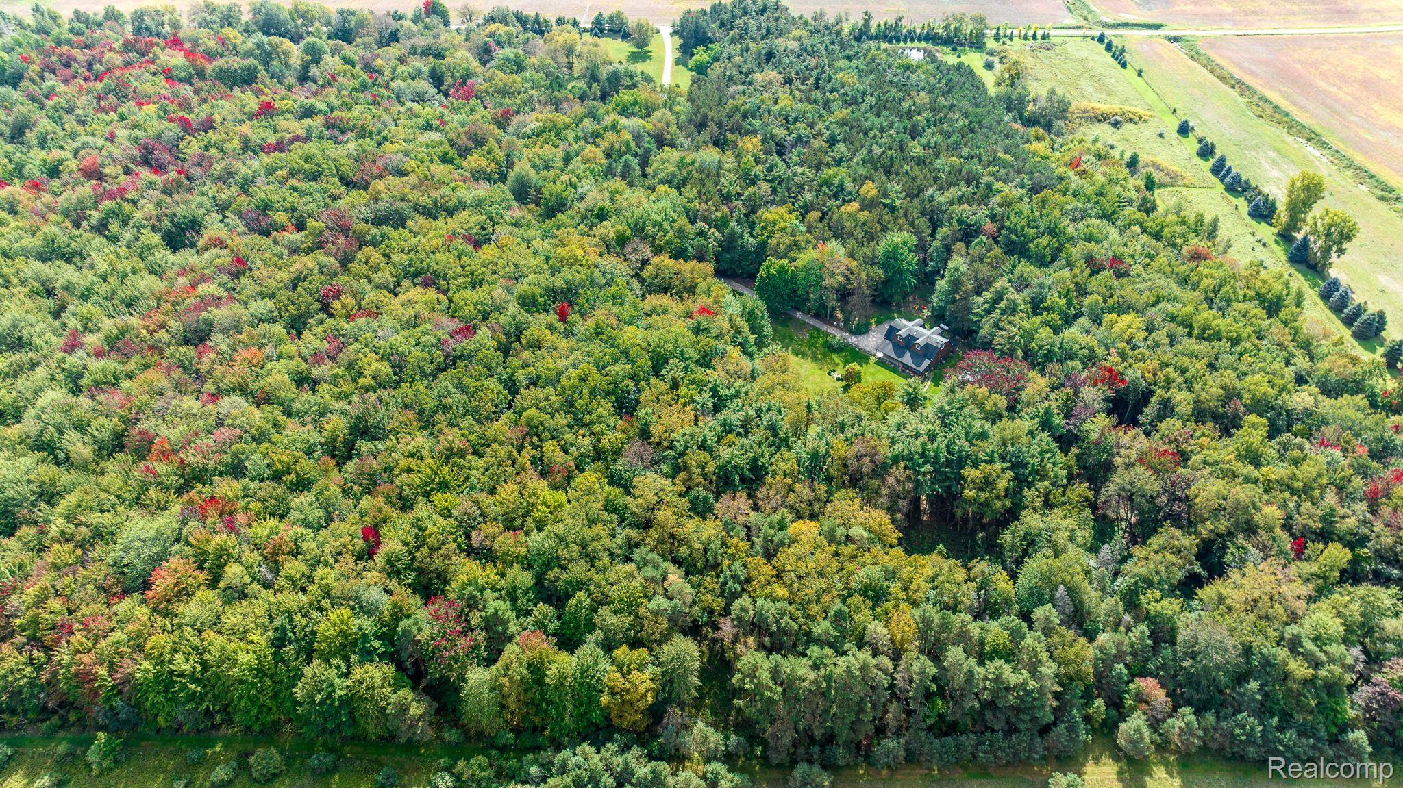 3899 Spruce Road Croswell, MI 48422 - Photo 25 of 53 Gallery Image 25