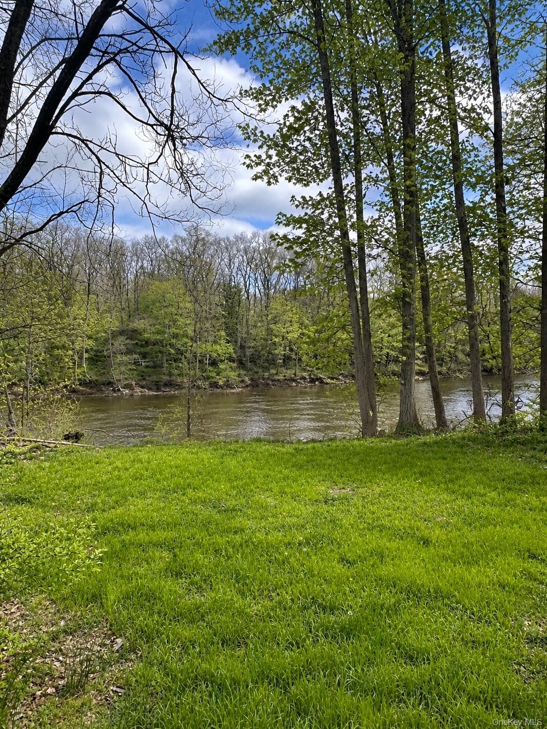 953 Creek Locks Road Rosendale, NY 12472 - Photo 2 of 12 River Front
