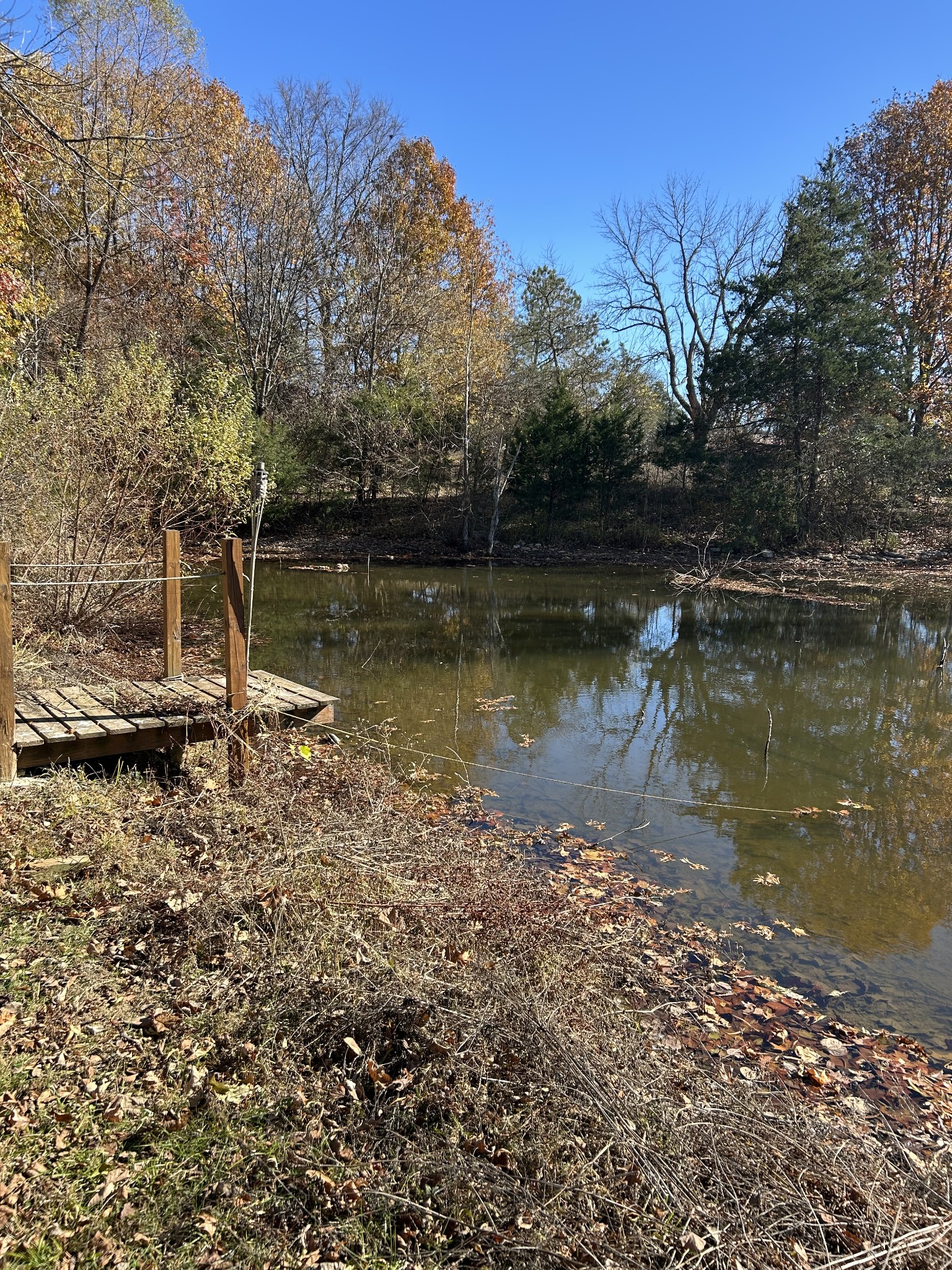 3122 Linwood Road Watertown, TN 37184 - Photo 3 of 13 a view of a lake