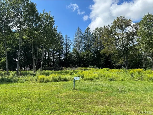 $75,000 | Lot 8 Tanglewood Development, Allegany, NY 14706