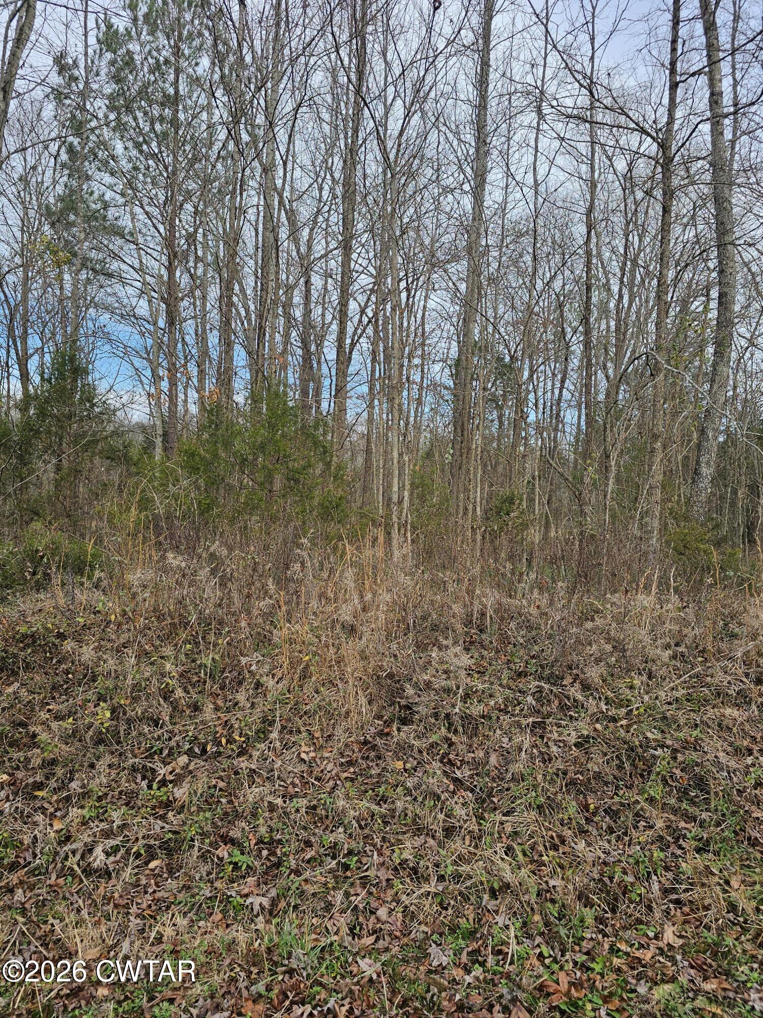 0 Lynn Lane Big Sandy, TN 38221 - Photo 2 of 2 a view of forest