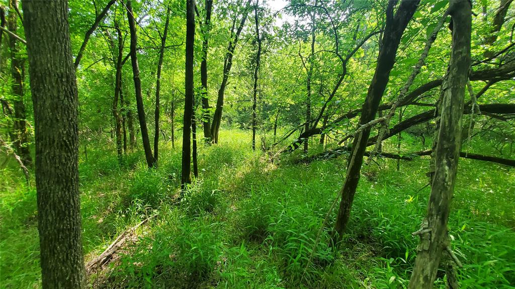 9999 Private Road, Unit 1194 Celeste, TX 75423 - Photo 6 of 18