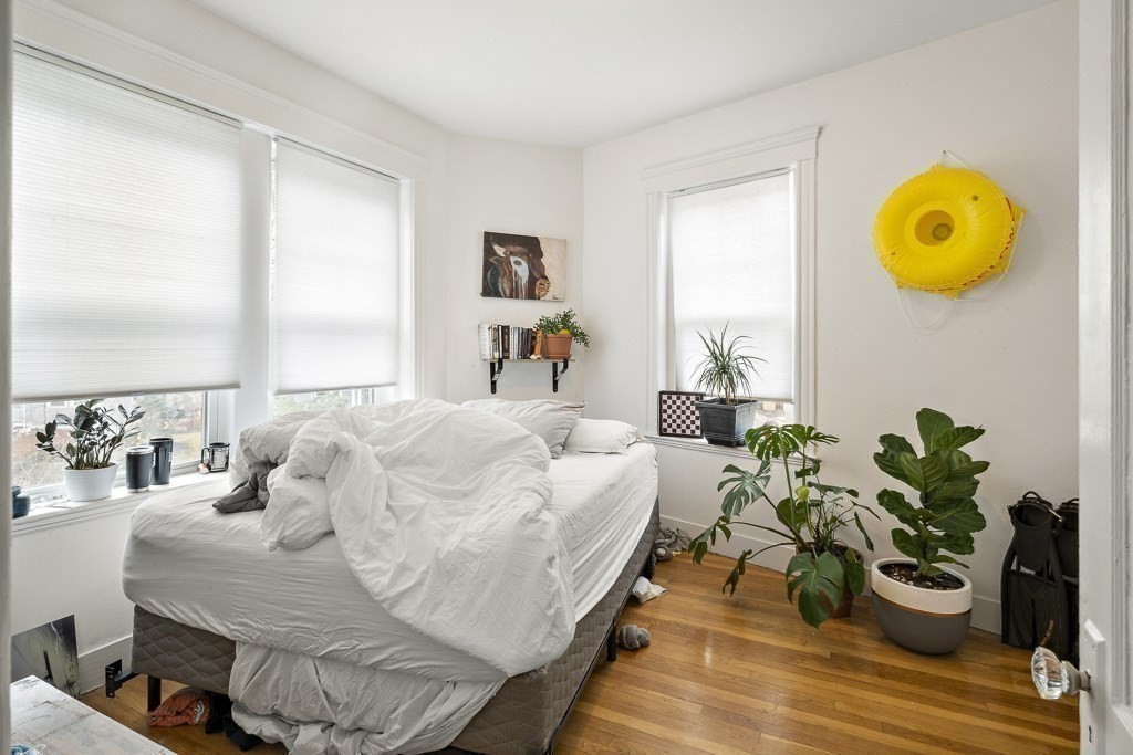 65 Lanark Road, Unit 7 Boston, MA 02135 - Photo 9 of 18 a bed sitting in a bedroom next to a window and potted plant