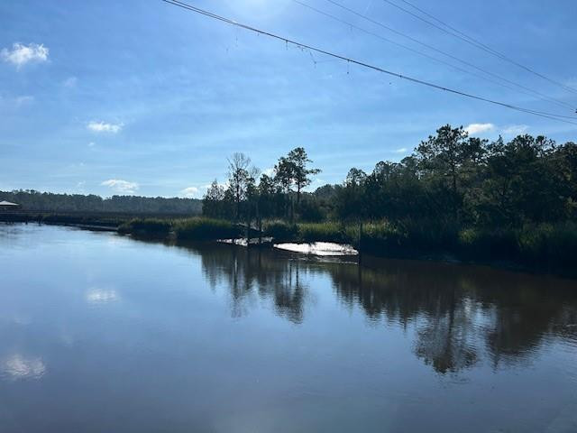 1 South Newport Road Townsend, GA 31331 - Photo 1 of 31 River Scene