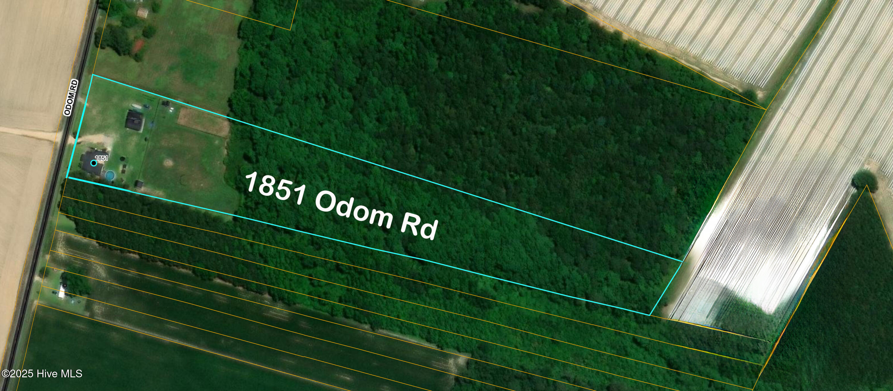 1851 Odom Road Clinton, NC 28328 - Photo 4 of 41 1851 Odom Rd 3