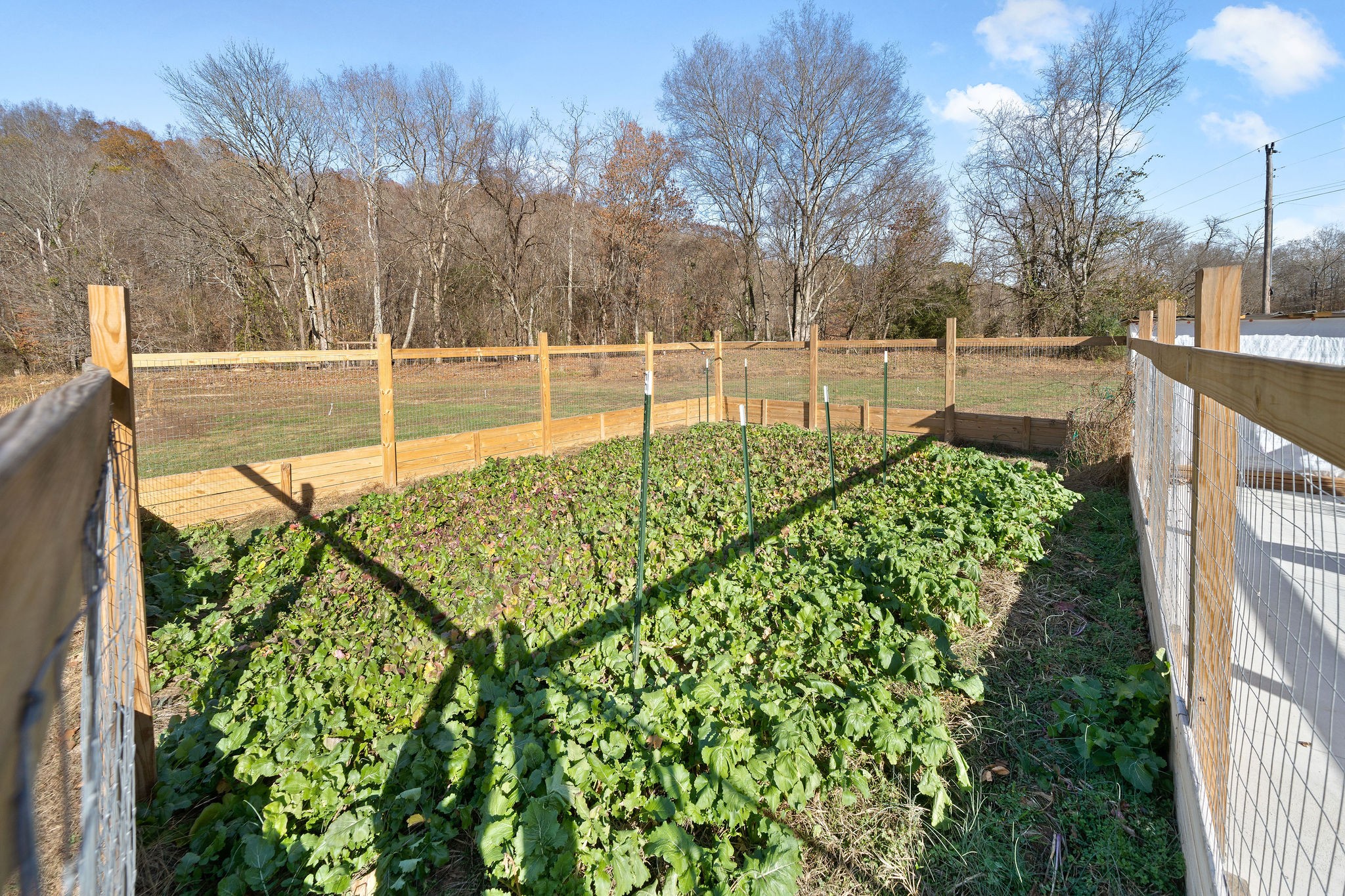 341 Durwachter Road Dover, TN 37058 - Photo 44 of 46 Gallery Image 44