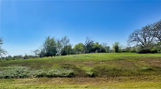 a view of a grassy field with trees in the background