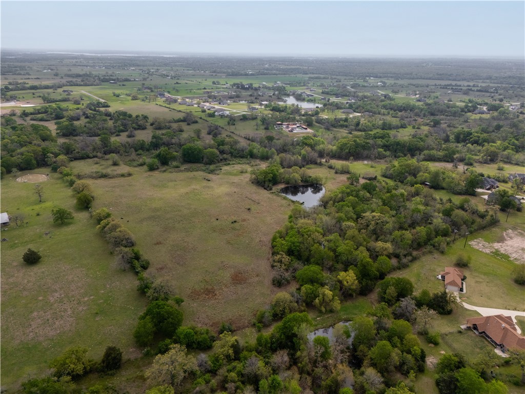 9919 Panther Ridge Drive Iola, TX 77861 - Photo 6 of 50 an aerial view of house with yard and mountain view in back