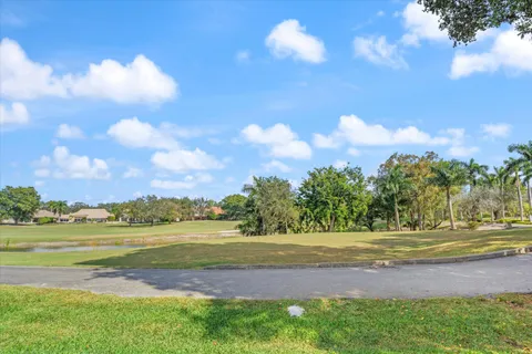 a view of a big yard