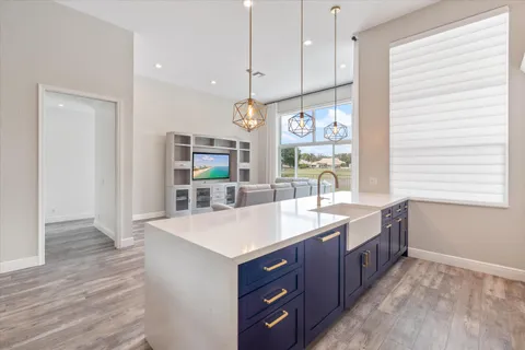 a kitchen with a sink and wooden cabinets