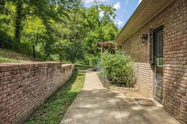 a view of a yard with a tree