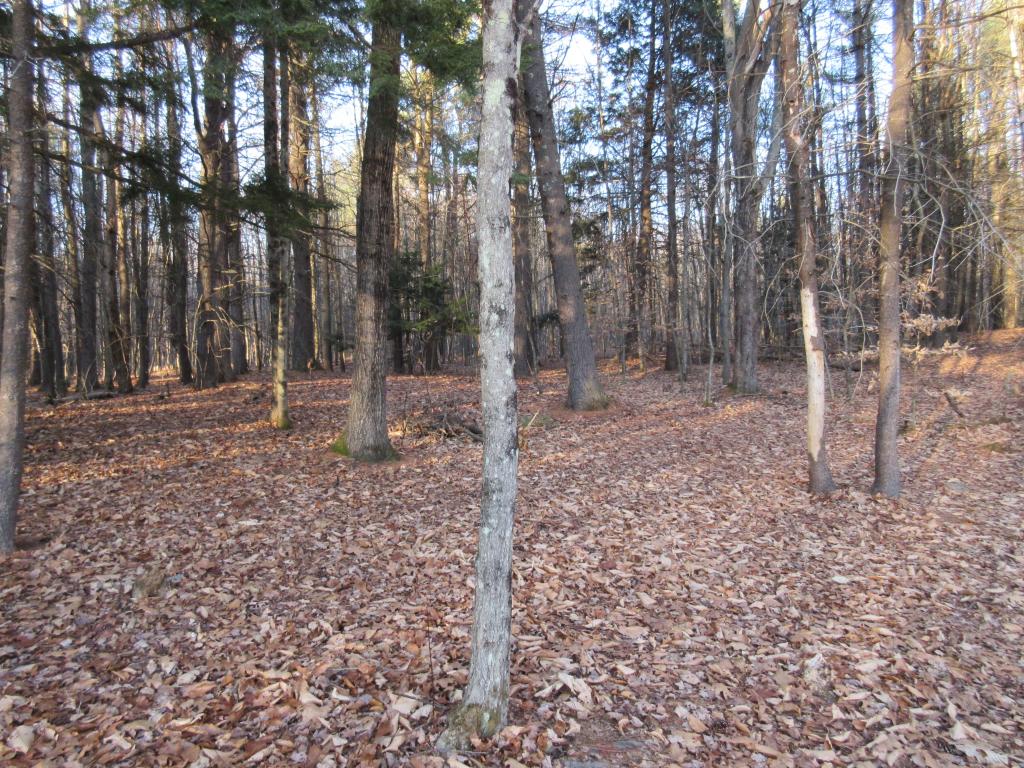 52 Oakwood Road Farmington, NH 03835 - Photo 17 of 19