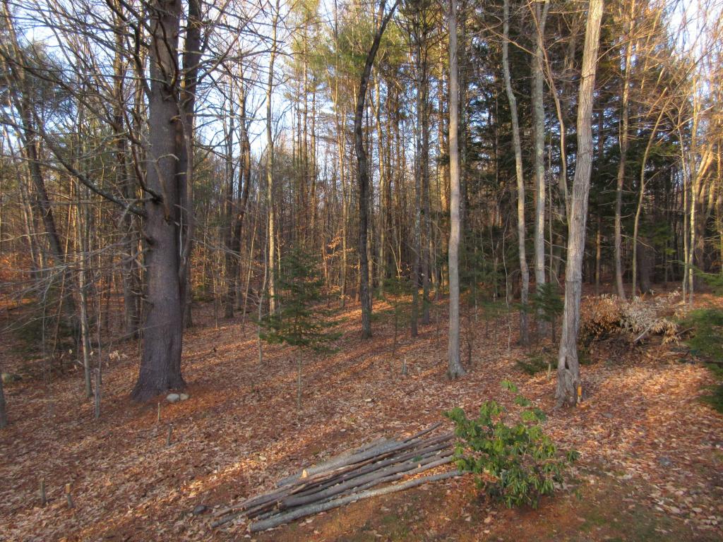 52 Oakwood Road Farmington, NH 03835 - Photo 18 of 19