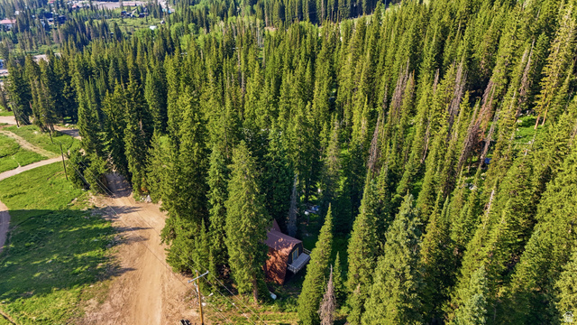 8505 South Snake Crk Road Salt Lake City, UT 84121 - Photo 52 of 67 Secluded cabin nestled amongst dense evergreen trees