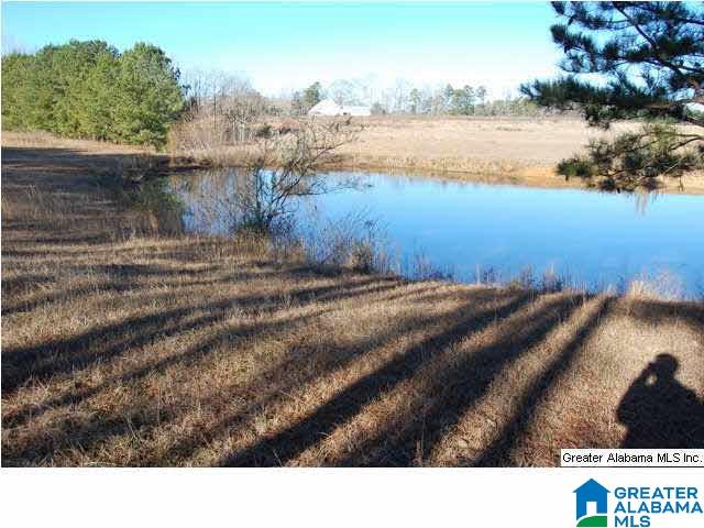 993 County Road, Unit 7 Clanton, AL 35045 - Photo 1 of 8