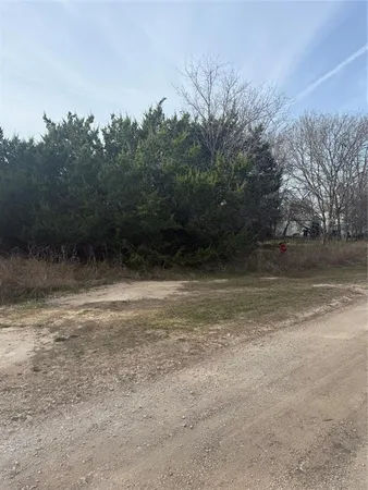 a view of backyard with green space