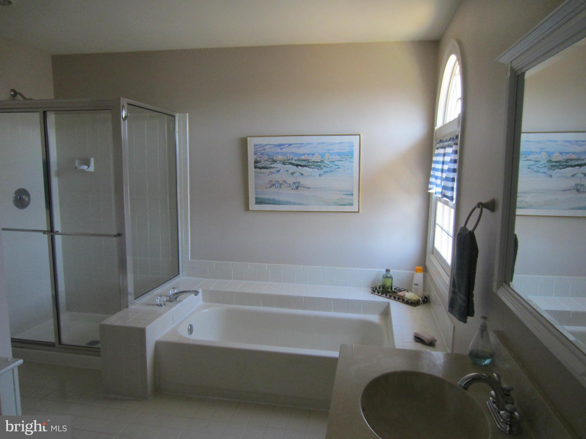 6 Rideout Court Gaithersburg, MD 20877 - Photo 24 of 30 Bath (Master)