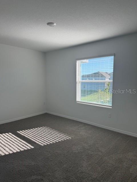 581 Mangrove Shade Circle Apollo Beach, FL 33572 - Photo 6 of 6