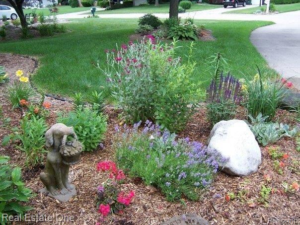 front garden[1].jpg