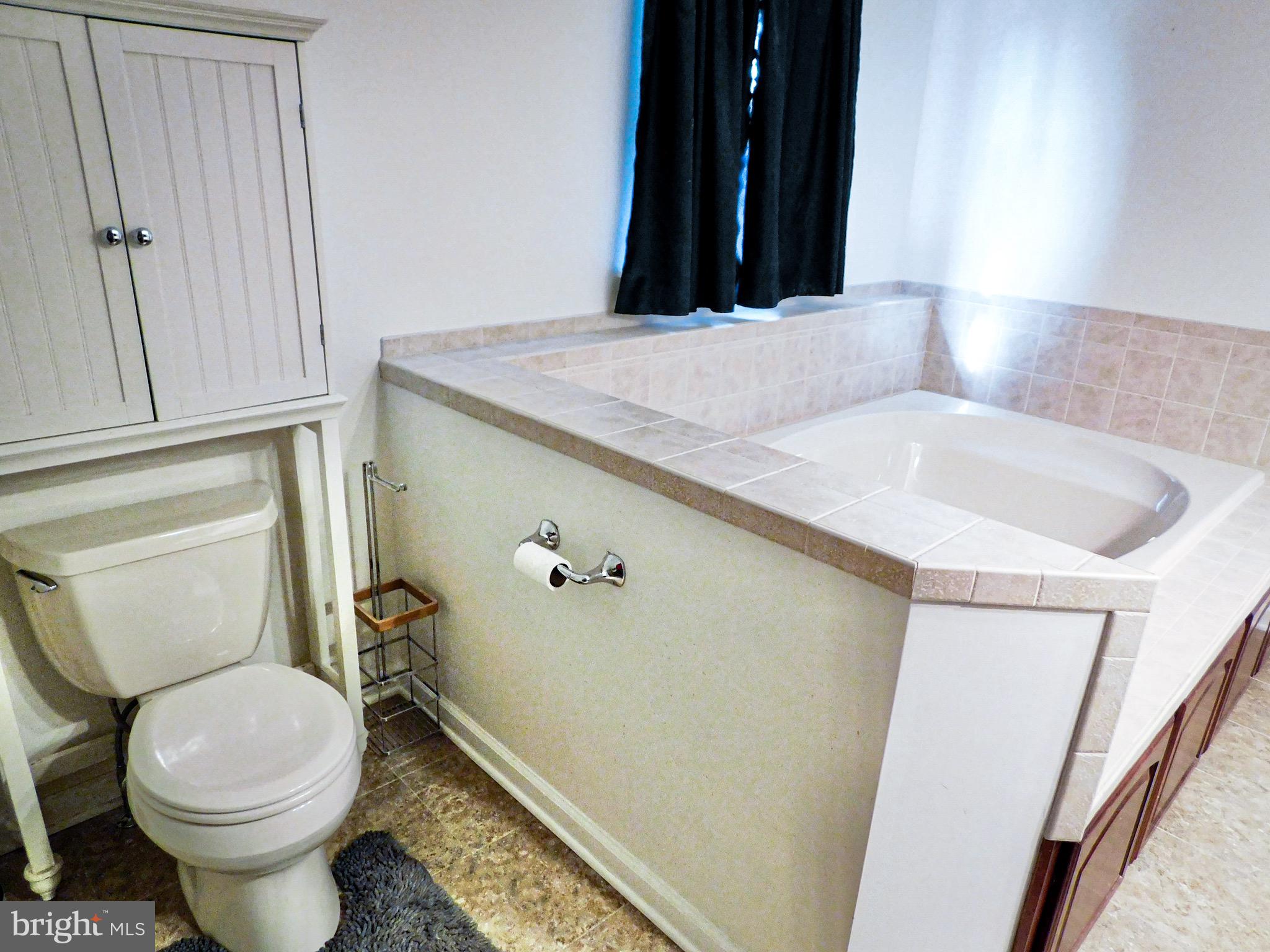 1114 West Springfield Drive Bellefonte, PA 16823 - Photo 25 of 43 a bathroom with a sink and a toilet