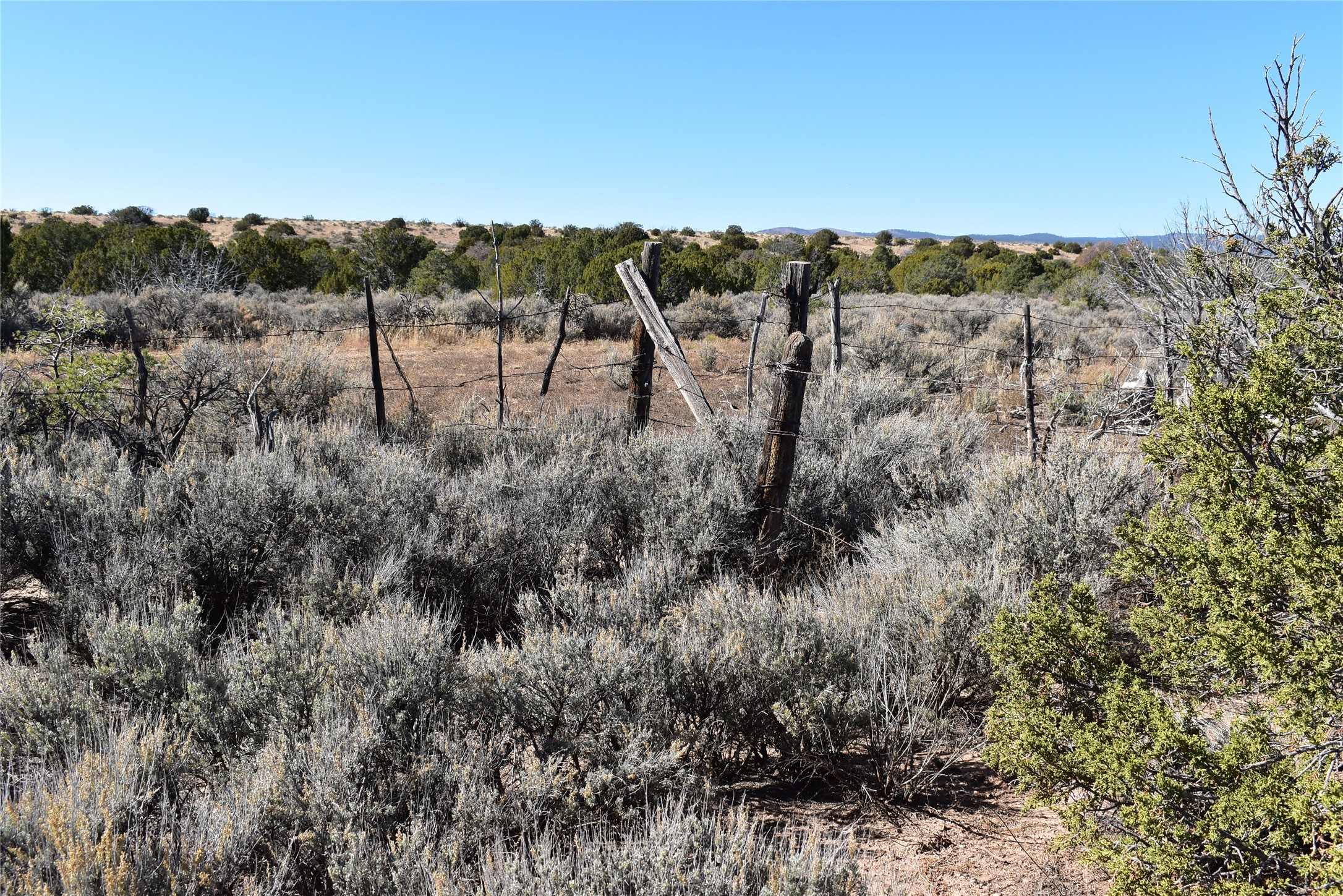 1684 A El Rito, NM 87530 - Photo 1 of 8