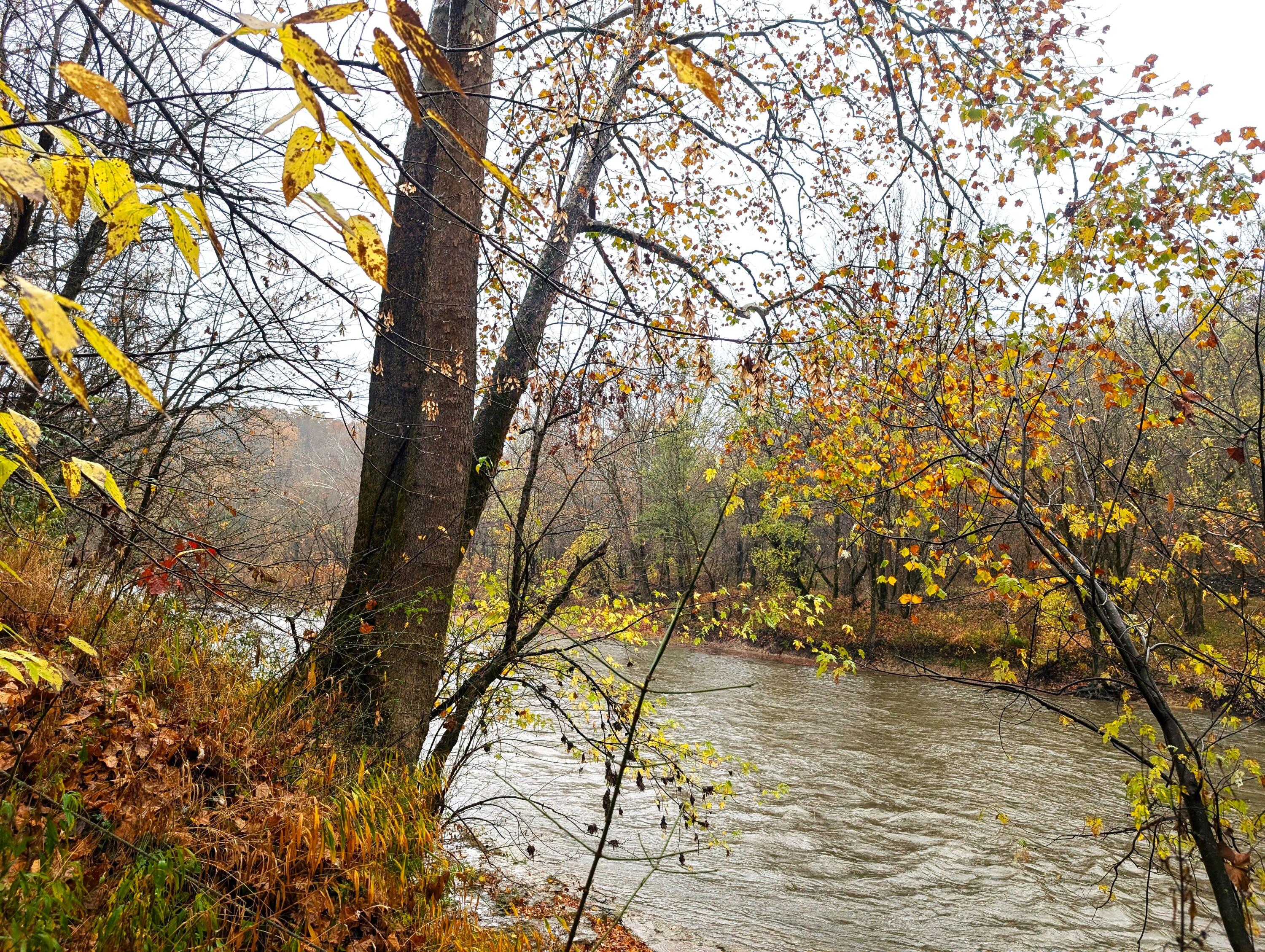1714 Harding Road Mount Olivet, KY 41064 - Photo 18 of 21 River