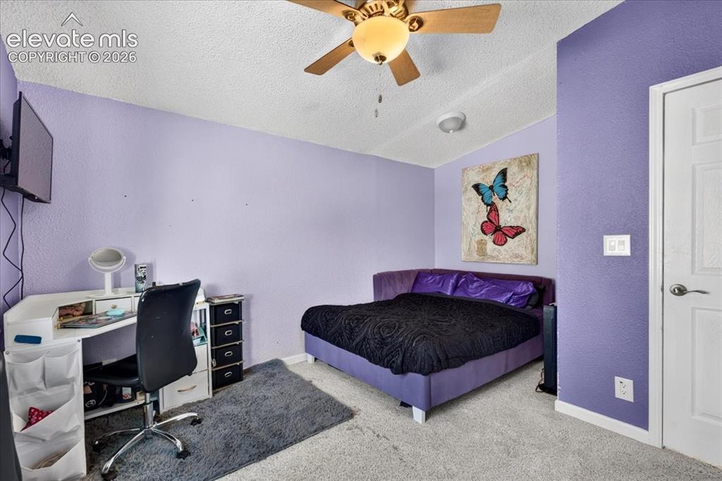 6210 Prospero Road Peyton, CO 80831 - Photo 14 of 26