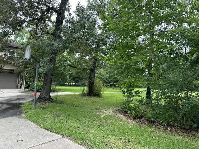 39302 Cimarron Way Magnolia, TX 77354 - Photo 33 of 40
