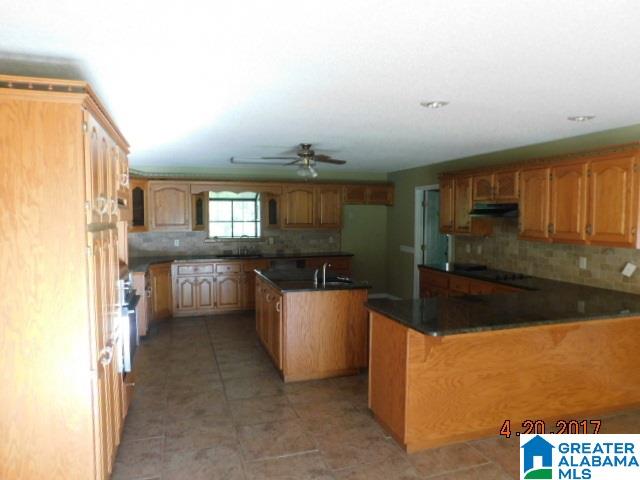3498 North Walston Bridge Road Jasper, AL 35504 - Photo 3 of 19
