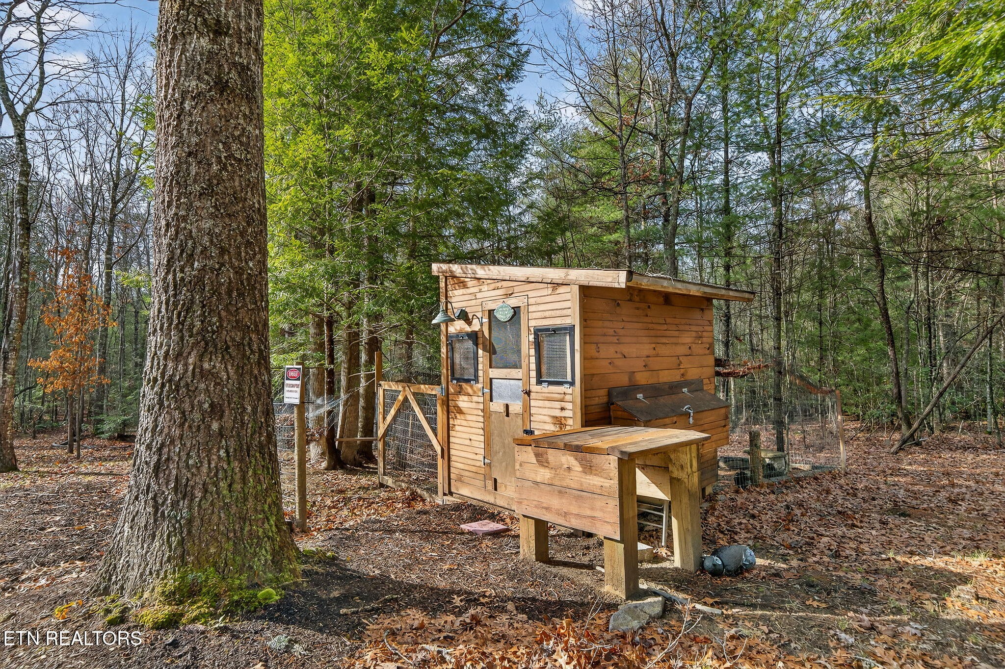 399 Georgee Road Jamestown, TN 38556 - Photo 42 of 57