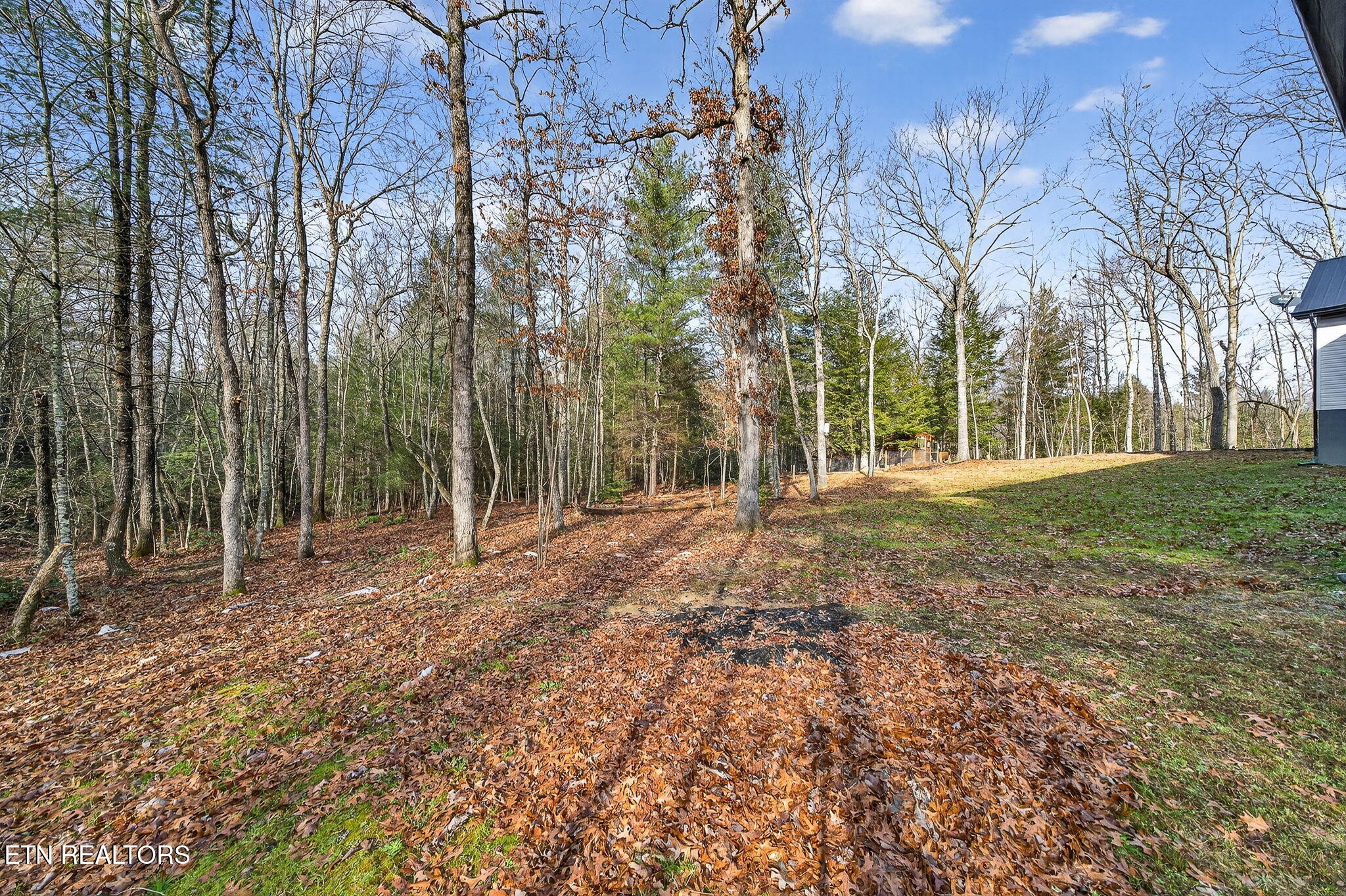 399 Georgee Road Jamestown, TN 38556 - Photo 43 of 57