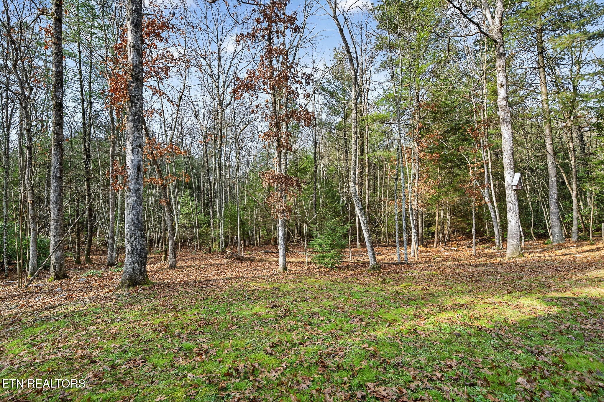 399 Georgee Road Jamestown, TN 38556 - Photo 45 of 57