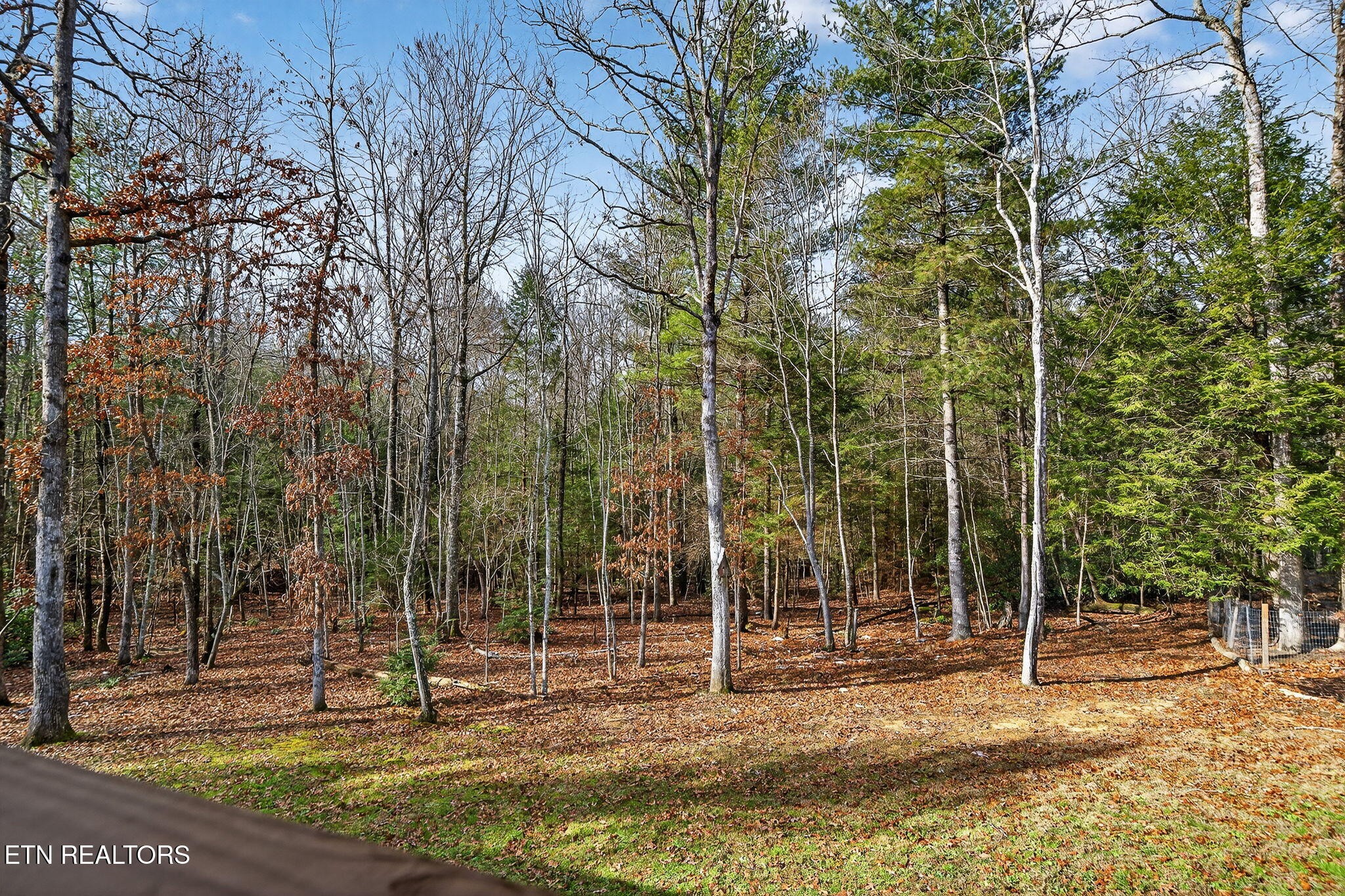 399 Georgee Road Jamestown, TN 38556 - Photo 46 of 57