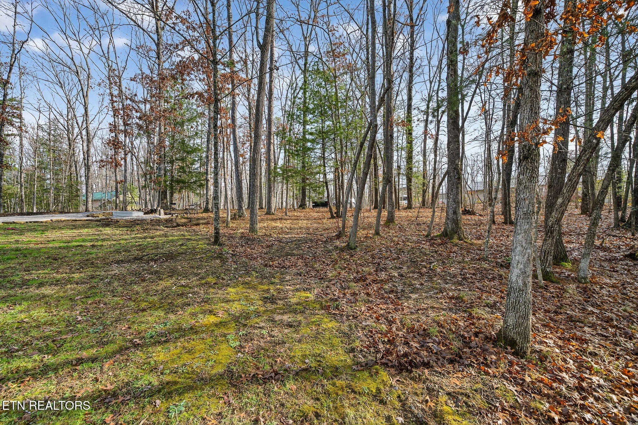 399 Georgee Road Jamestown, TN 38556 - Photo 54 of 57