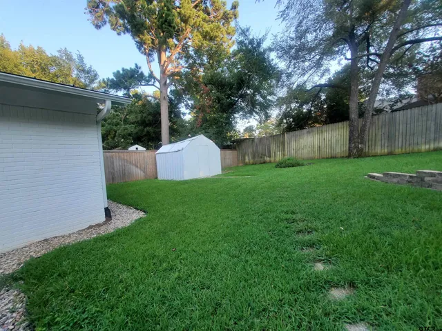 a view of a yard with a large tree and wooden fence
