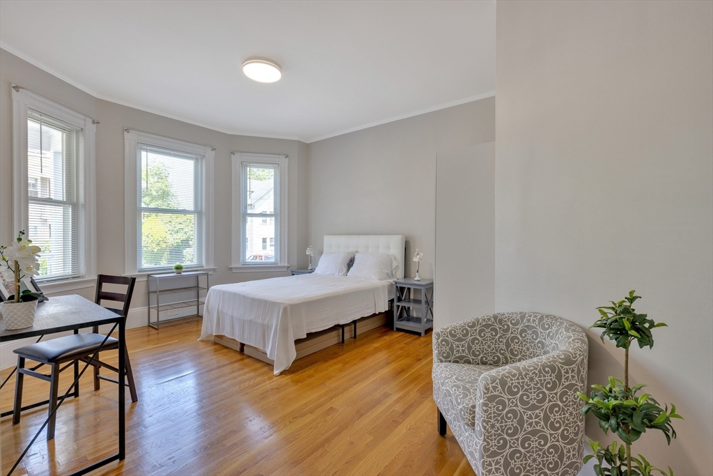 24 Bentley Street, Unit 1 Boston, MA 02135 - Photo 3 of 21 a living room with furniture and a potted plant
