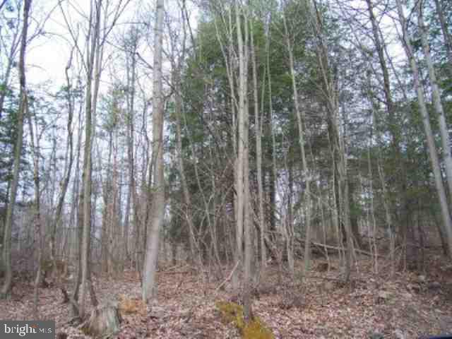 39 Hill Road Duncannon, PA 17020 - Photo 3 of 7 Gallery Image 3