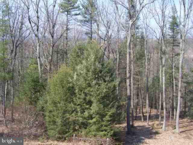 39 Hill Road Duncannon, PA 17020 - Photo 7 of 7 Gallery Image 7