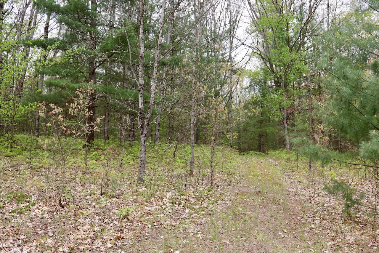 6153 South Branch Road Branch, MI 49402 - Photo 25 of 70 23