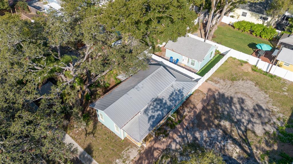 448 Locklie Street Dunedin, FL 34698 - Photo 9 of 51 a view of a tree in a yard