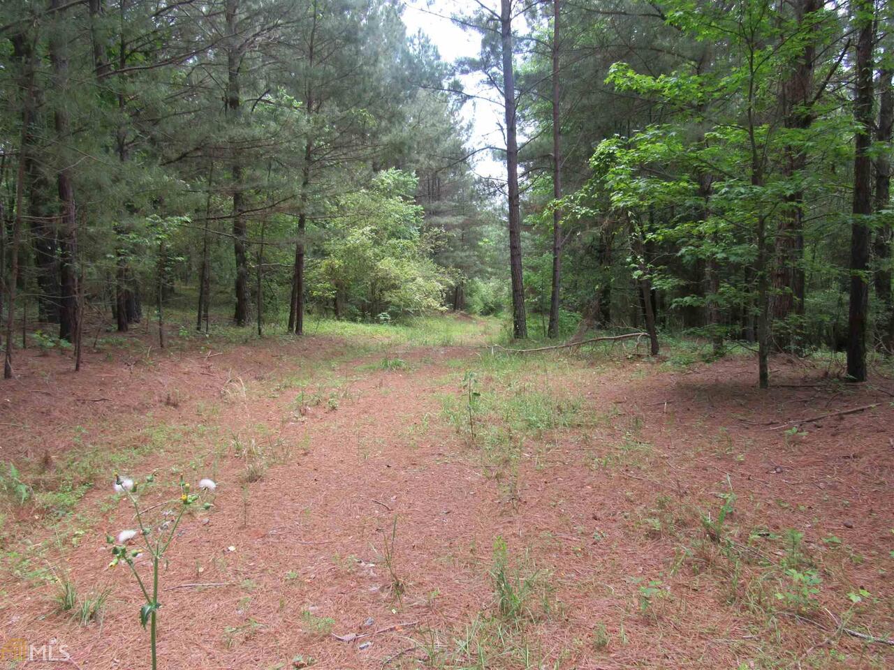 0 Highway 105 Demorest, GA 30535 - Photo 1 of 1 a view of a forest with trees in the background