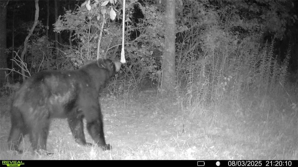 10019 Dingman Road Guys Mills, PA 16327 - Photo 44 of 50 a view of a dry yard