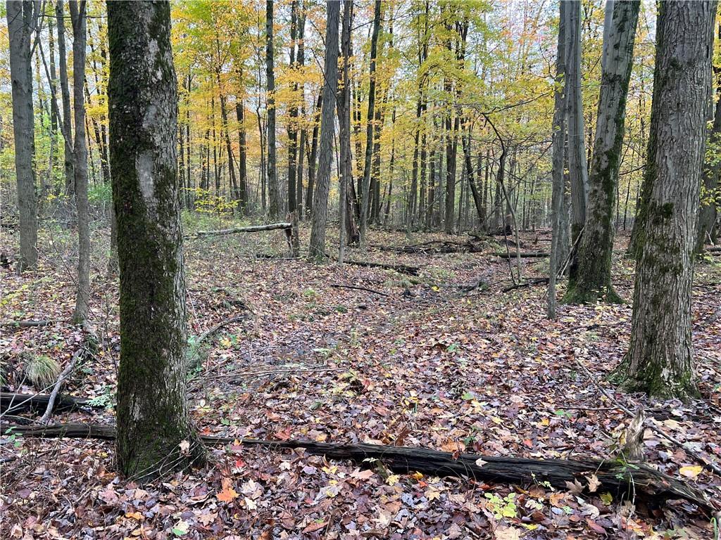 10019 Dingman Road Guys Mills, PA 16327 - Photo 48 of 50 a view of a backyard with trees