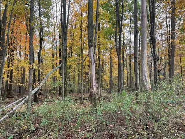 $368,000 | 10019 Dingman Road, Guys Mills, PA 16327