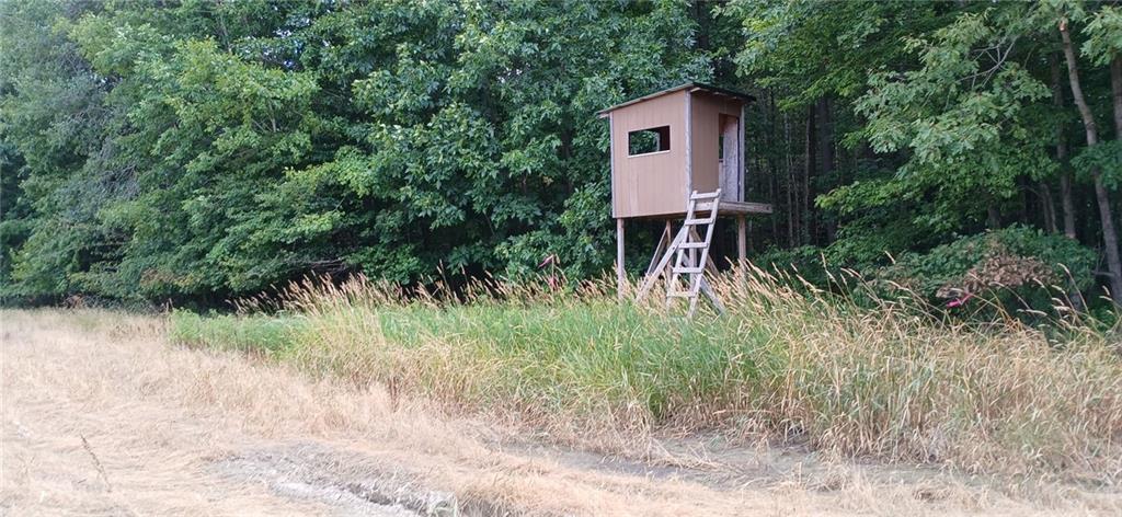 10019 Dingman Road Guys Mills, PA 16327 - Photo 50 of 50 a view of a back yard