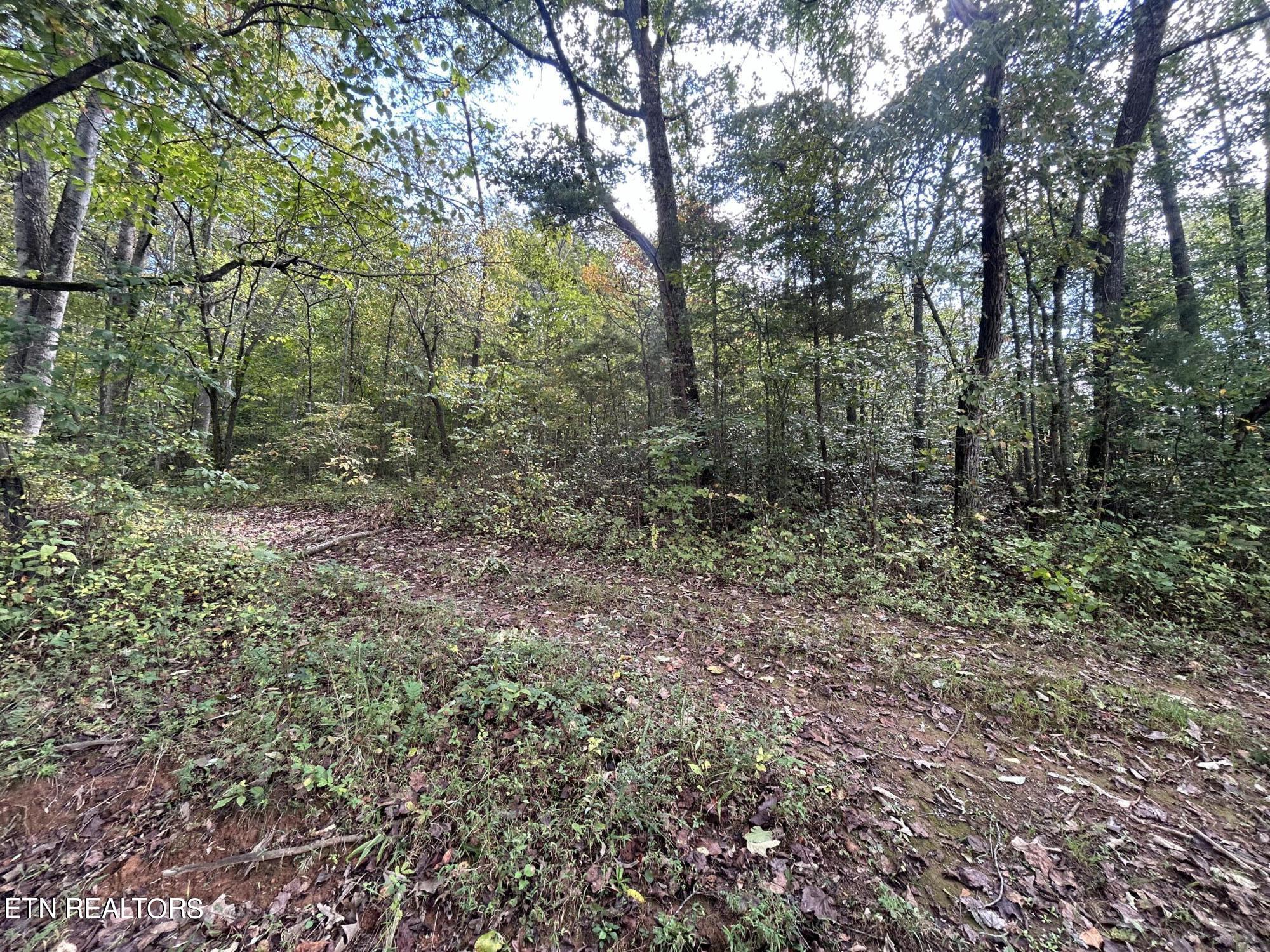 Lot 2 Granite Road Clinton, TN 37716 - Photo 3 of 11 IMG_5322
