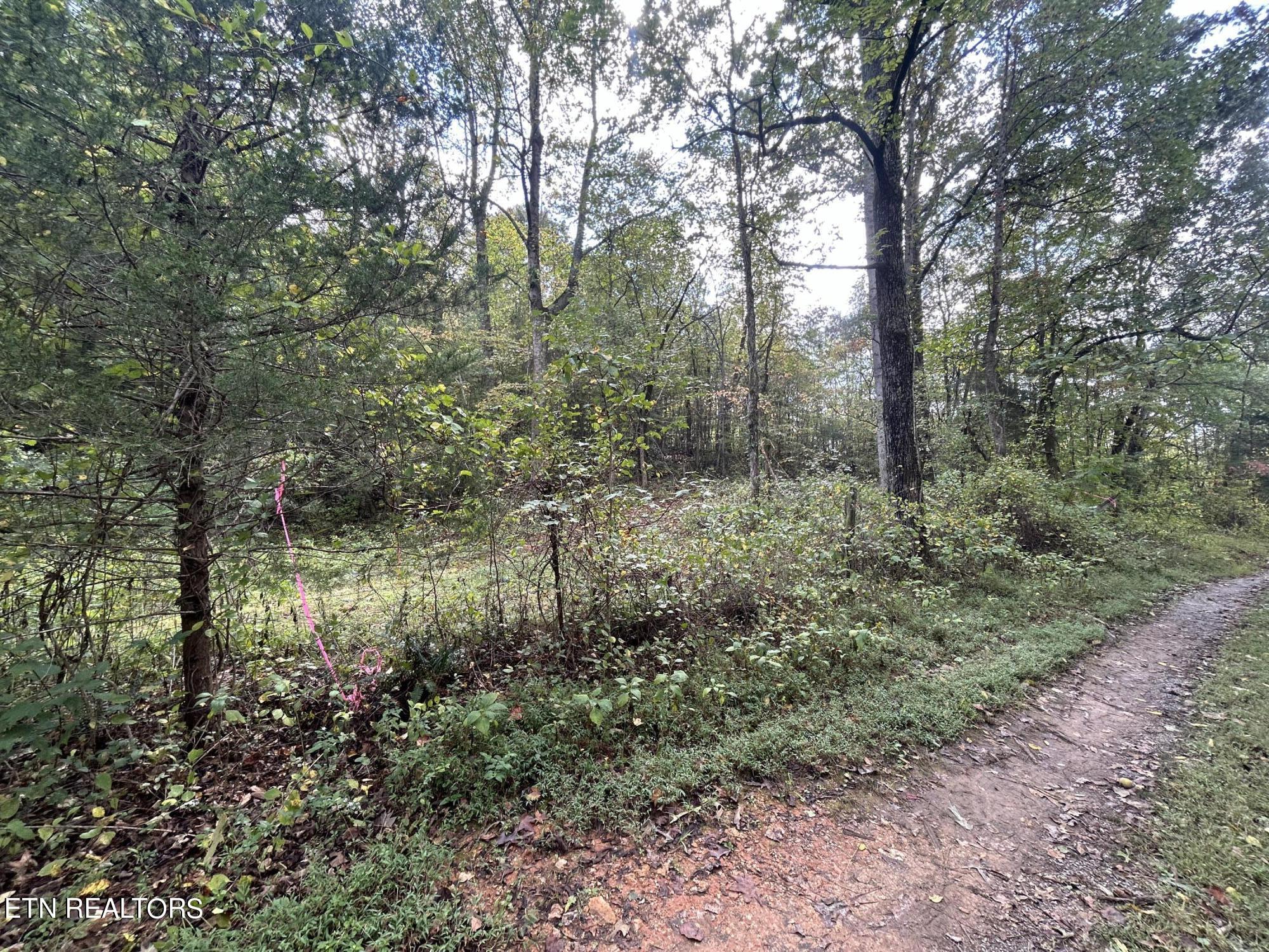 Lot 2 Granite Road Clinton, TN 37716 - Photo 5 of 11 IMG_5327