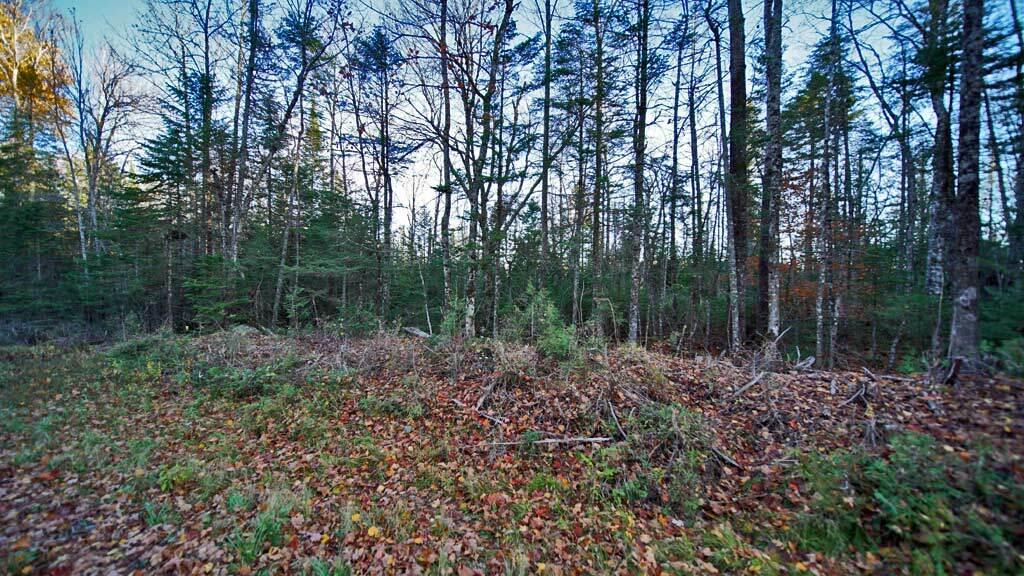 Lot 18 South Oakfield Road Houlton, ME 04730 - Photo 12 of 32 lake-land-in-maine