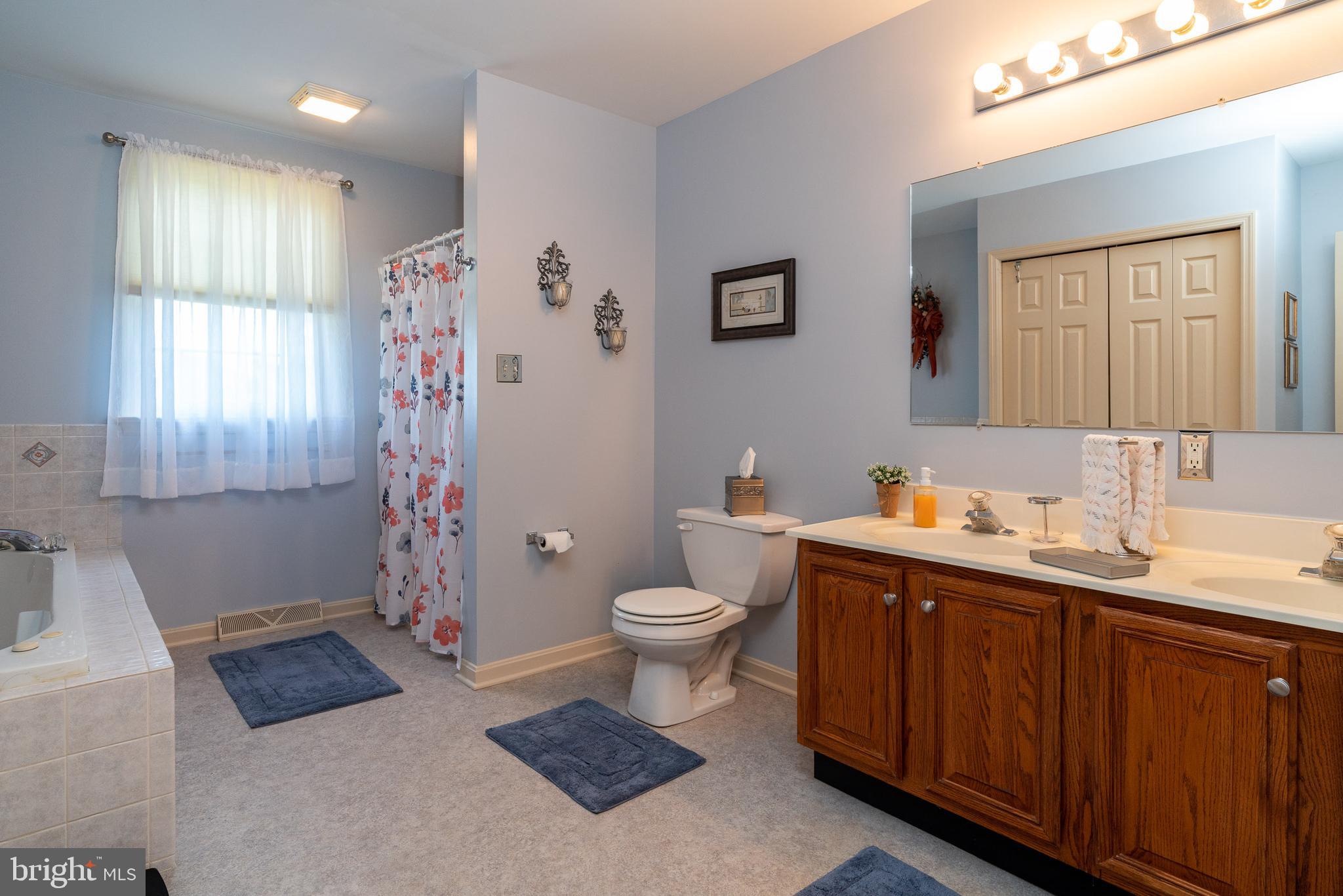 6 Lindside Court Lititz, PA 17543 - Photo 36 of 50 Primary bath