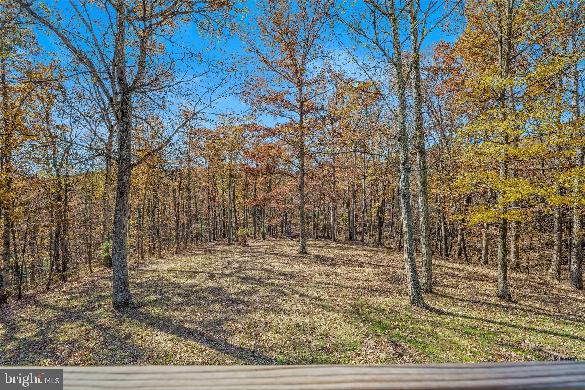438 Gloyd Lane Great Cacapon, WV 25422 - Photo 21 of 30 a view of a house with a yard